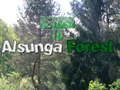 Gioco Ritorno nella foresta di Alsunga in linea