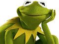 Gioco Libro da Colorare per Kermit la Rana in linea