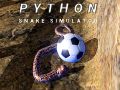 Gioco Simulatore di serpente Python in linea