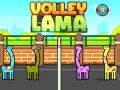 Gioco Volley Lama in linea