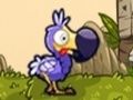 Gioco Salva i Dodo in linea