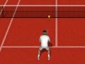 Gioco Tennis Reale in linea