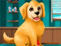 Gioco Diventa un Toelettatore di Cuccioli in linea
