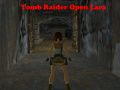 Gioco Tomb Raider: Lara Aperta in linea