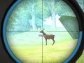Gioco Addestramento del Cacciatore in linea