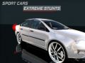 Gioco Auto sportive: Stunt estremi in linea