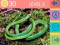 Gioco Quiz delle 15 Immagini in linea