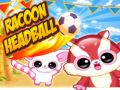Gioco Palla della Testa del Procione in linea