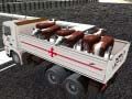 Gioco Trasporto di animali domestici con camion in linea