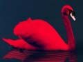 Gioco Puzzle degli Uccelli Amore in linea
