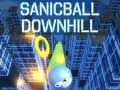 Gioco Sanicball Discesa in linea