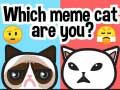Gioco Quale gatto meme sei? in linea