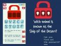 Gioco Crackare Password in linea