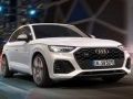 Gioco Audi SQ5 TDI Scivolata in linea
