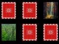 Gioco Memoria del Bosco in linea