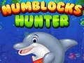 Gioco Cacciatore di Numblocks in linea