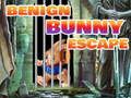 Gioco Fuga del Coniglietto Benigno in linea