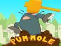 Gioco Pum-Mole in linea