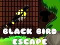 Gioco Fuga dell'Uccello Nero in linea