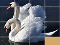 Gioco Puzzle Scorrimento Animali in linea Gioco Puzzle Scorrimento Animali in linea