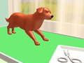 Gioco Cura degli animali domestici in linea