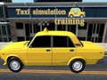 Gioco Formazione alla simulazione del taxi in linea
