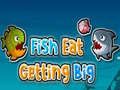 Gioco Il pesce mangia e cresce in linea Gioco Il pesce mangia e cresce in linea