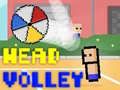 Gioco Volley della testa in linea