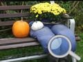 Gioco Giardino d'Autunno: Trova 100 farfalle in linea