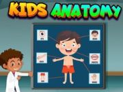 Gioco Anatomia per Bambini in linea