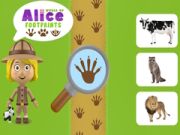 Gioco Mondo delle Impronte di Alice in linea