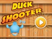 Gioco Cacciatore di Anatre Pro in linea