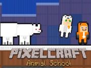 Gioco Scuola Animali PixelCraft in linea