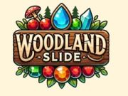 Gioco Scivolo nel Bosco in linea
