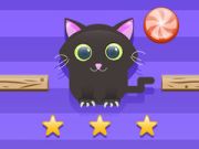 Gioco Sfida del Gatto in linea