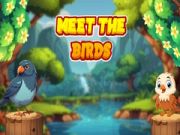 Gioco Incontra Gli Uccelli in linea