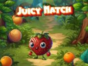 Gioco Partita Succulenta in linea