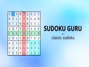 Gioco Guru Sudoku in linea
