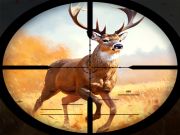 Gioco Scontro di caccia selvaggio in linea