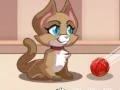 Gioco Bollicine di Gatto in linea