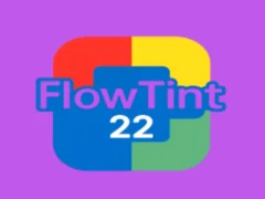 Gioco FlowTint in linea