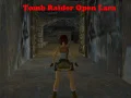 Gioco Tomb Raider: Lara Aperta in linea