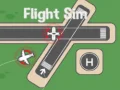 Gioco Simulatori di Volo in linea Gioco Simulatori di Volo in linea
