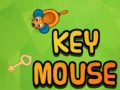 Gioco Topo Chiave in linea
