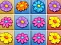 Gioco Frantumazione del Giardino Fiorito in linea