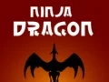 Gioco Drago Ninja in linea