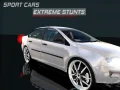 Gioco Auto sportive: Stunt estremi in linea