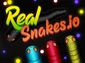 Gioco Serpenti Reali.io in linea