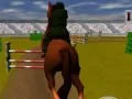 Gioco Cavallo Saltante 3D in linea
