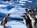 Gioco Scivolo dei Pinguini in linea